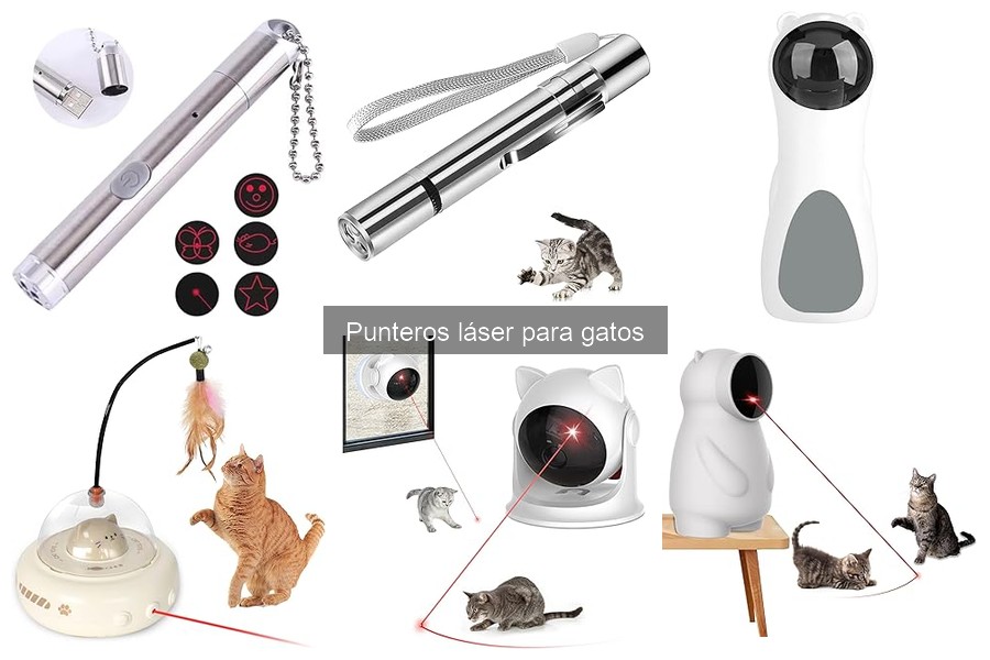 Cómo mantener y cuidar punteros láser para gatos