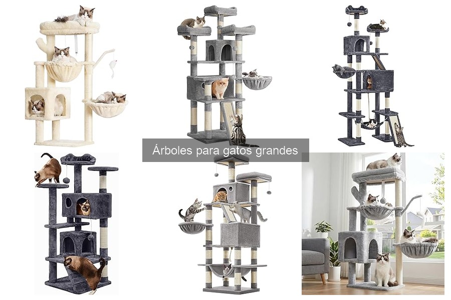 Cómo mantener y limpiar árboles para gatos grandes