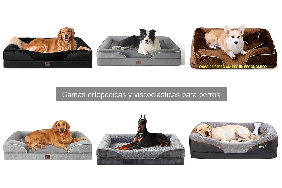 Cómo mantener y limpiar camas ortopédicas para perros