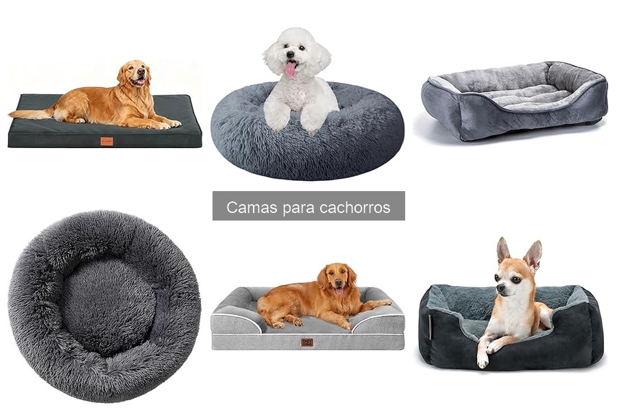Cómo mantener y limpiar camas para cachorros fácilmente