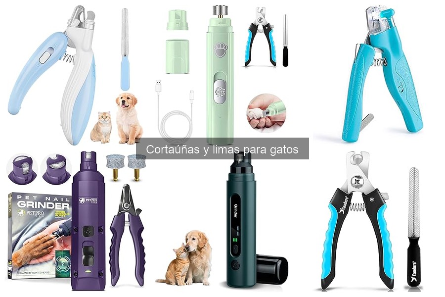 Cómo mantener y limpiar cortaúñas para gatos de forma eficaz