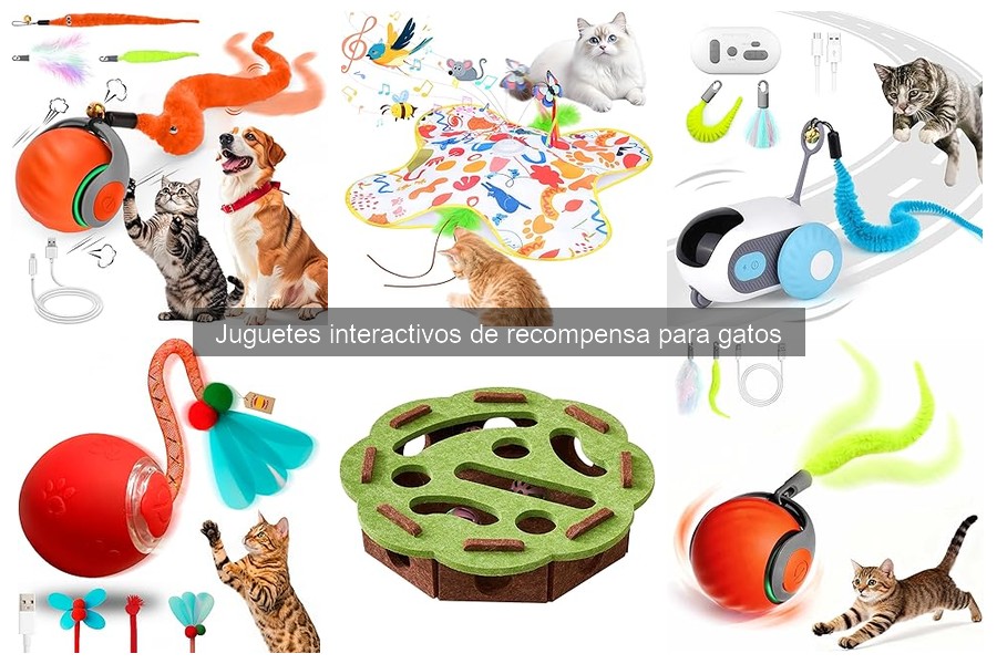 Cómo mantener y limpiar juguetes interactivos para gatos