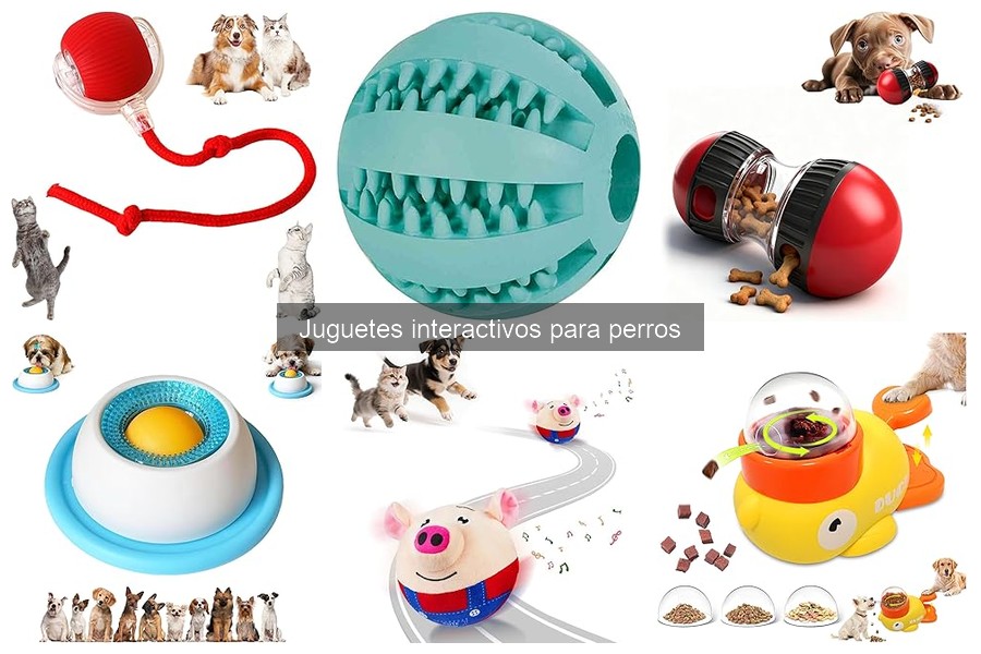 Cómo mantener y limpiar juguetes interactivos para perros