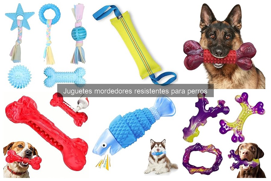 Cómo mantener y limpiar juguetes mordedores resistentes para perros