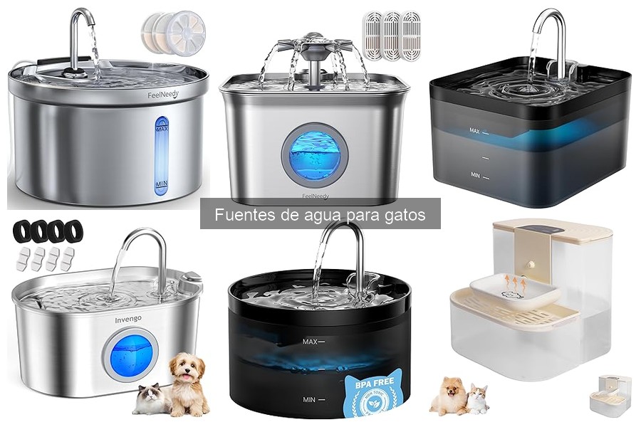 Cómo Mantener y Limpiar la Fuente de Agua para Gatos
