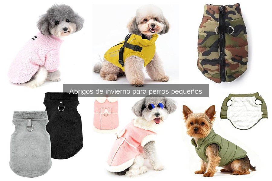 Cómo medir a tu perro pequeño para un abrigo de invierno