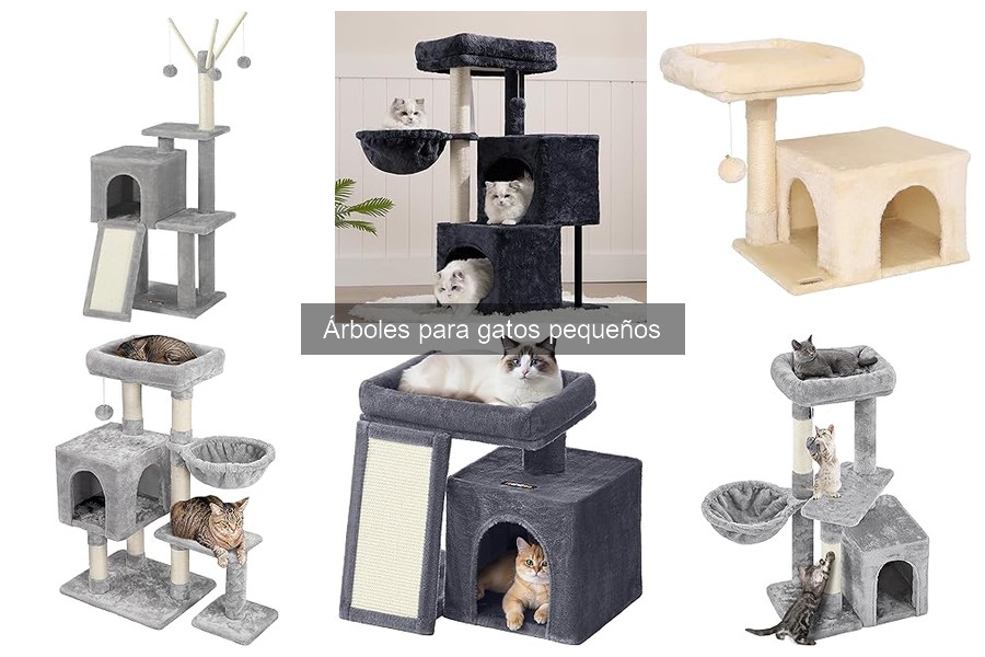 Cómo montar árboles para gatos pequeños: guía fácil y consejos