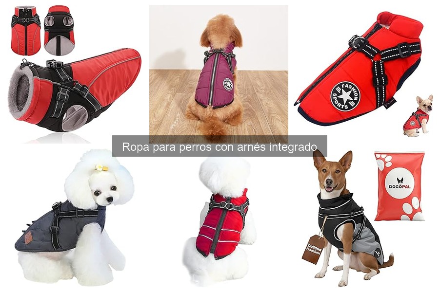 Cómo poner y ajustar ropa con arnés integrado para perros