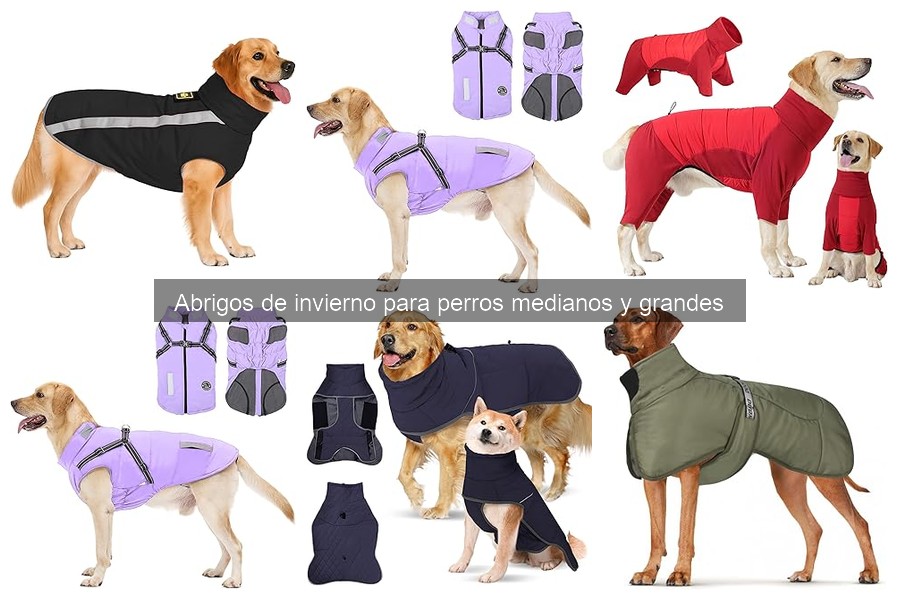 Cómo poner y ajustar un abrigo a tu perro grande