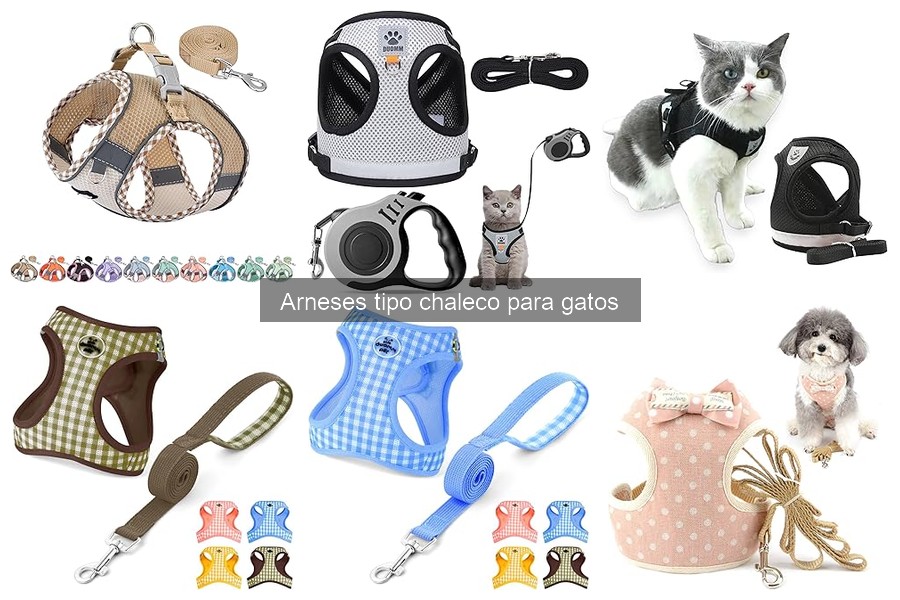 Cómo poner y ajustar un arnés tipo chaleco a tu gato