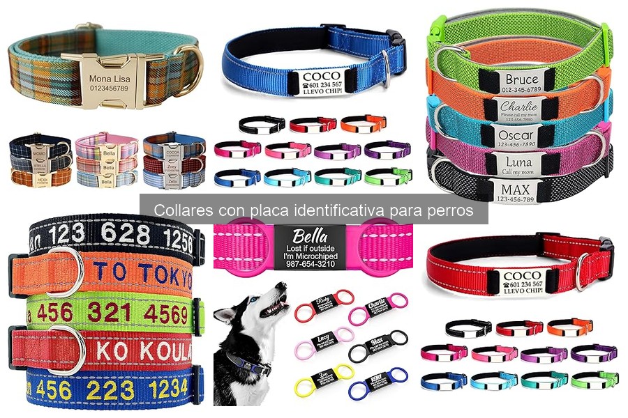 Cómo poner y ajustar un collar identificativo para perros