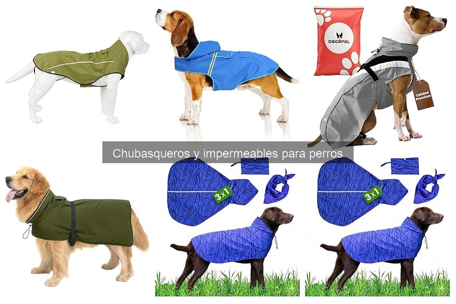 Cómo ponerle un chubasquero a mi perro fácilmente