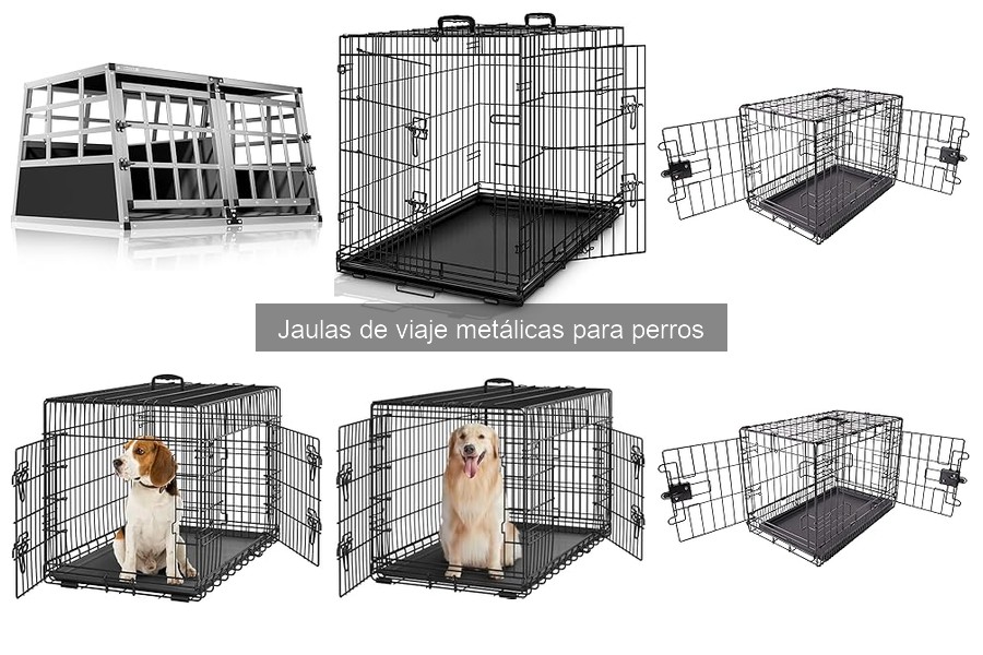 Cómo preparar a tu perro para viajar en una jaula metálica