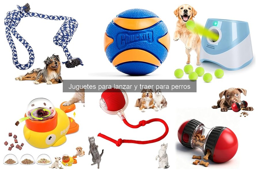 ** Cómo presentar un nuevo juguete para lanzar y traer a tu perro