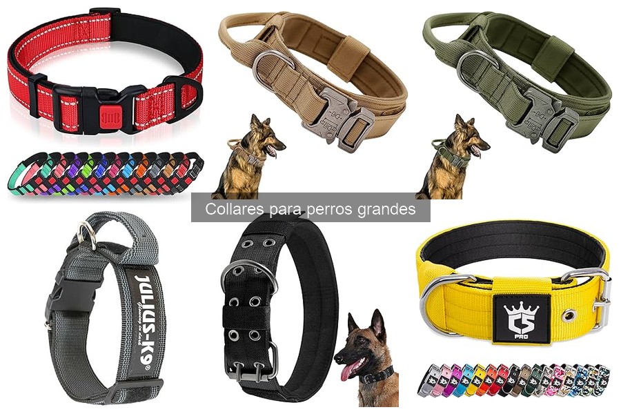 Cómo saber si el collar de mi perro grande está demasiado apretado