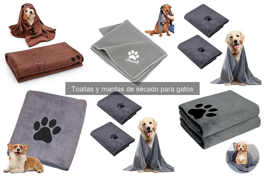 Cómo secar a tu gato con toallas y mantas efectivas