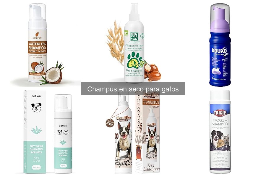 Cómo usar champú en seco para gatos: guía paso a paso