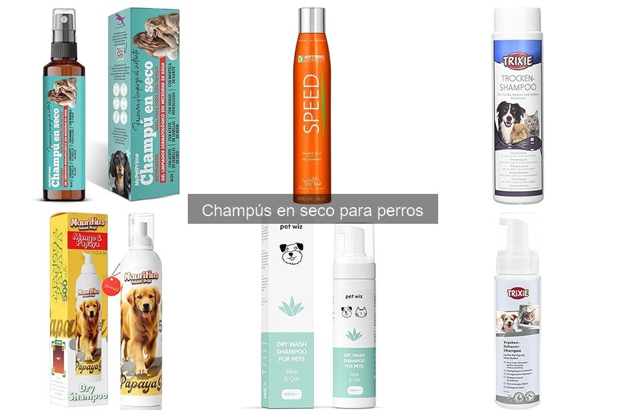 Cómo usar champú en seco para perros: Guía práctica