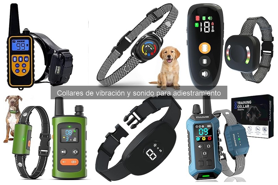 Cómo usar collares de vibración y sonido para adiestra perros
