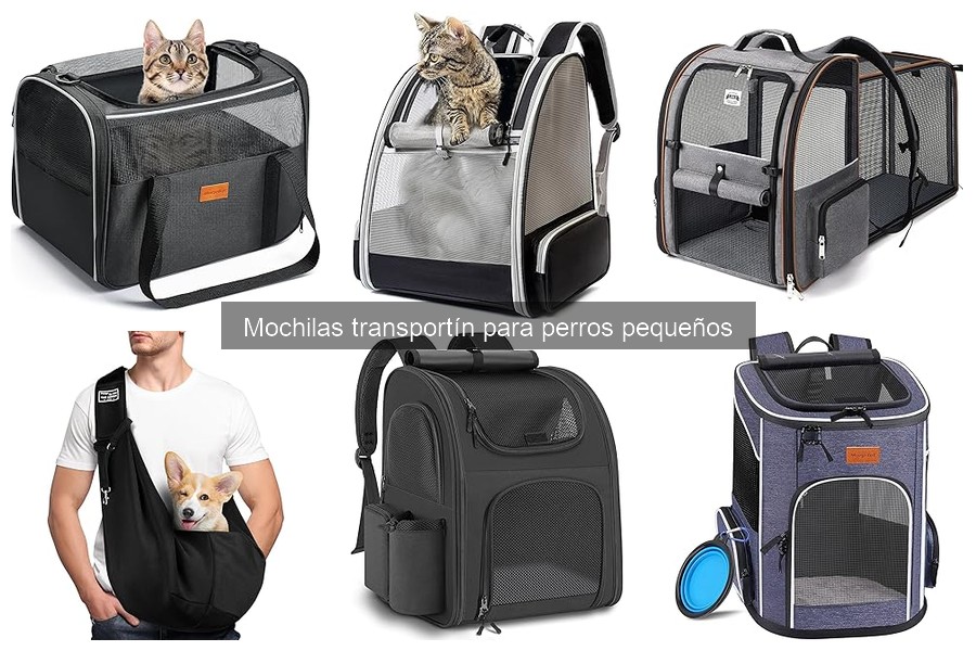 Cómo usar correctamente mochilas transportín para perros pequeños
