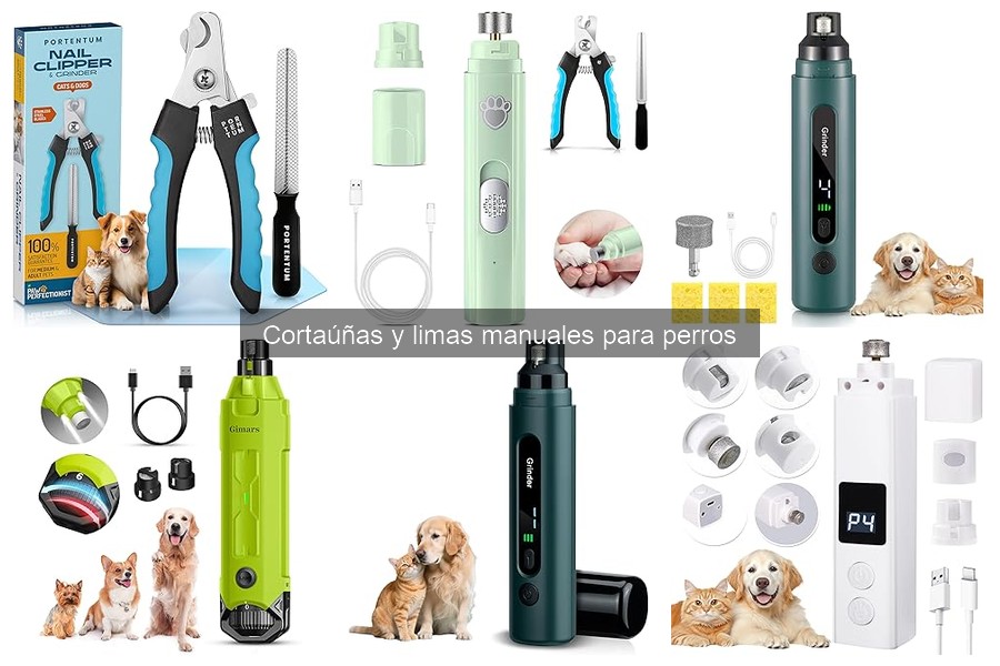 Cómo usar correctamente un cortaúñas para perros