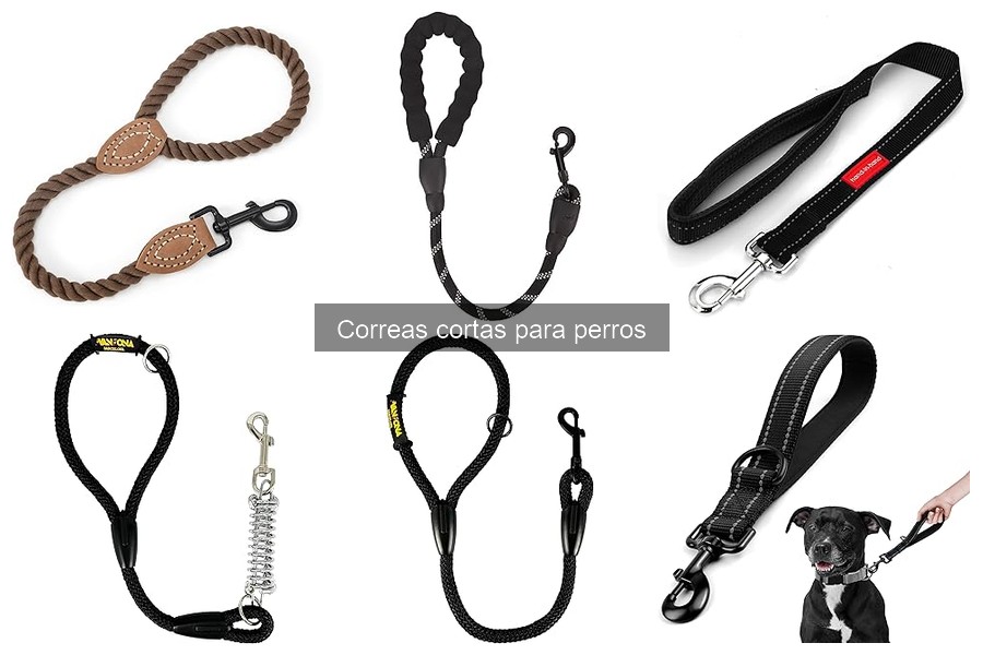 Cómo usar correctamente una correa corta con tu perro