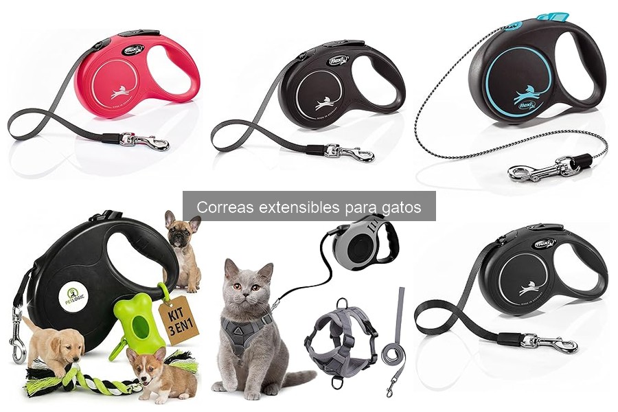 Cómo usar correctamente una correa extensible con tu gato