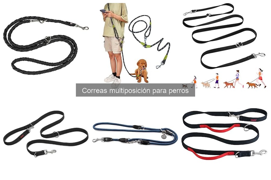 Cómo usar correctamente una correa multiposición para perros