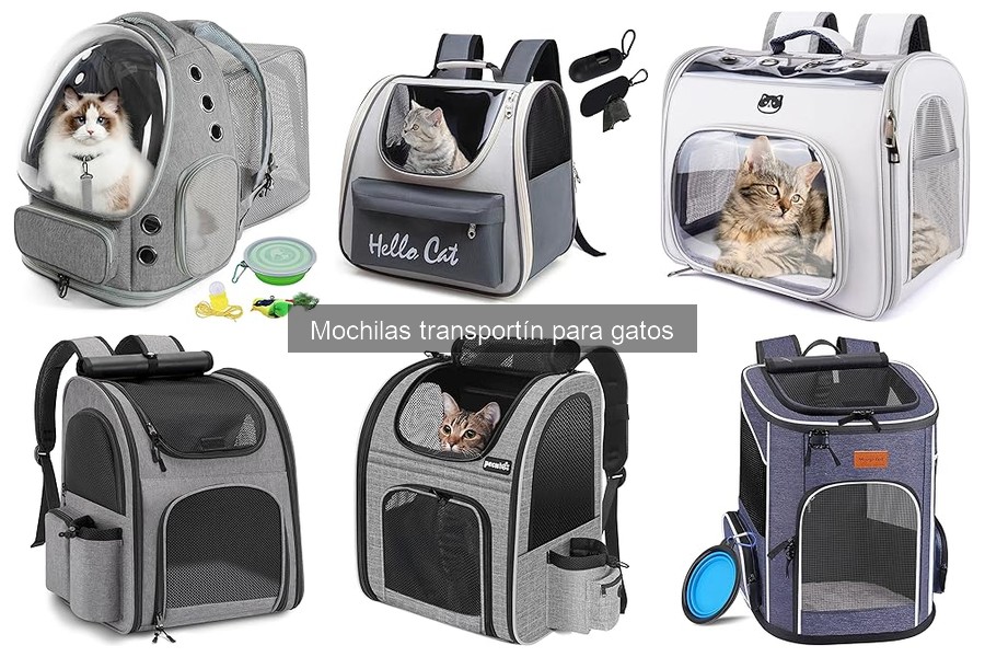 Cómo usar correctamente una mochila transportín para gatos