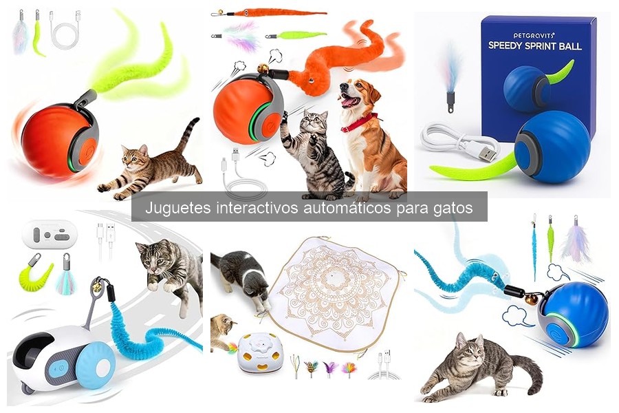 Cómo usar juguetes interactivos automáticos para gatos