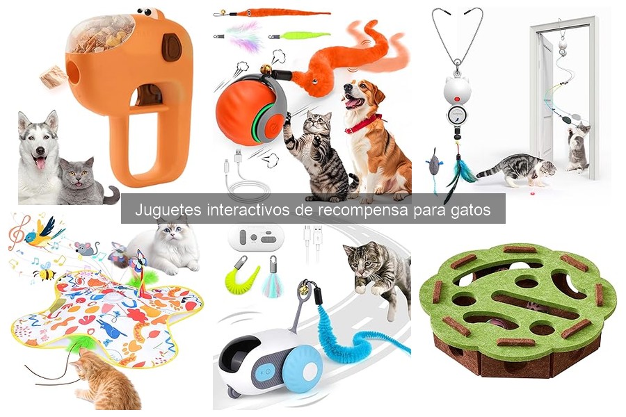 Cómo usar juguetes interactivos de recompensa para gatos