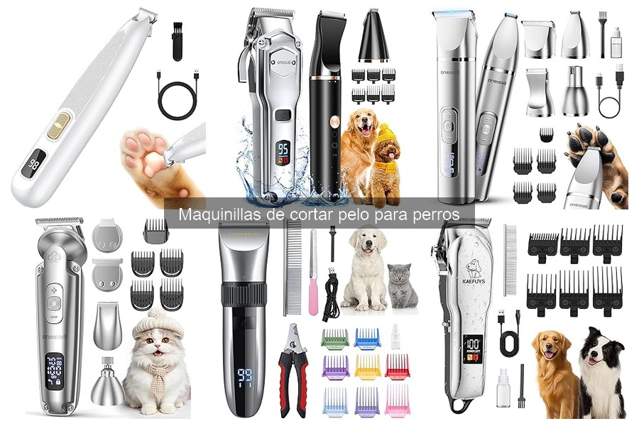 Cómo usar maquinillas de cortar pelo para perros fácilmente
