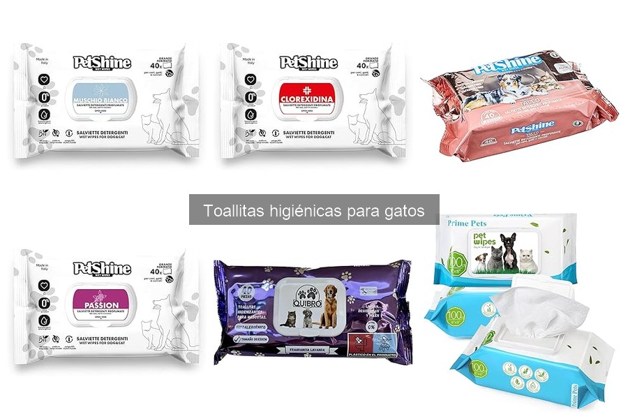 Cómo usar toallitas higiénicas para gatos de manera efectiva