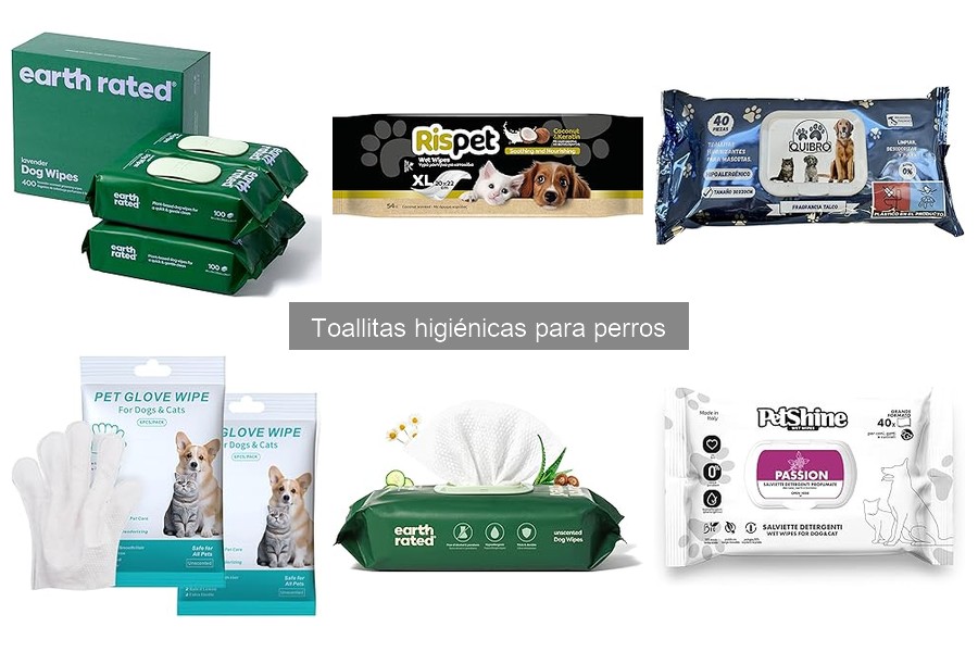 Cómo usar toallitas higiénicas para perros correctamente