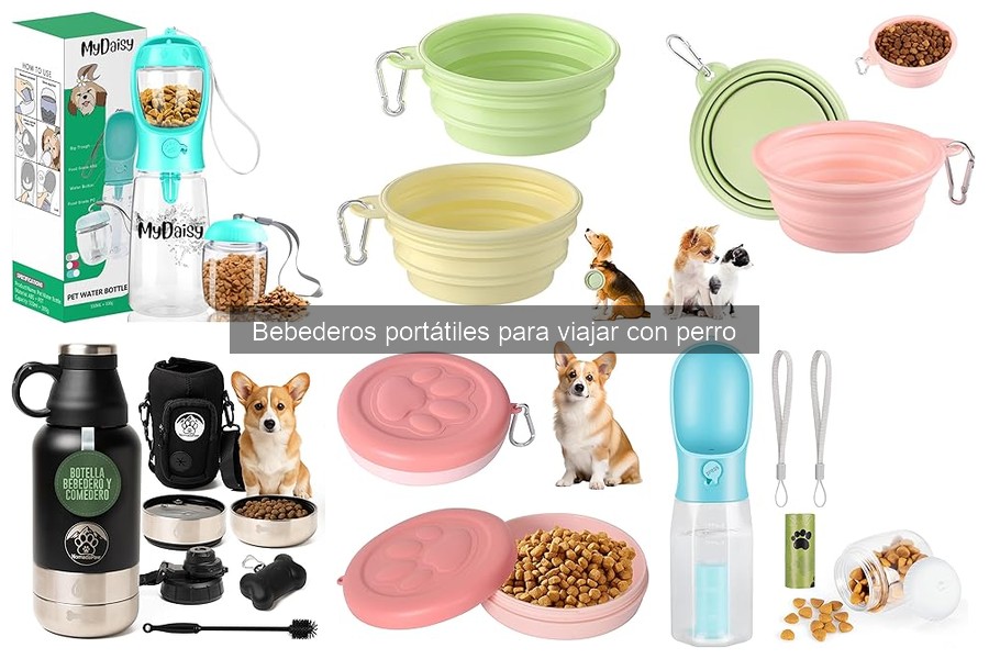 Cómo usar un bebedero portátil para perros en tus viajes