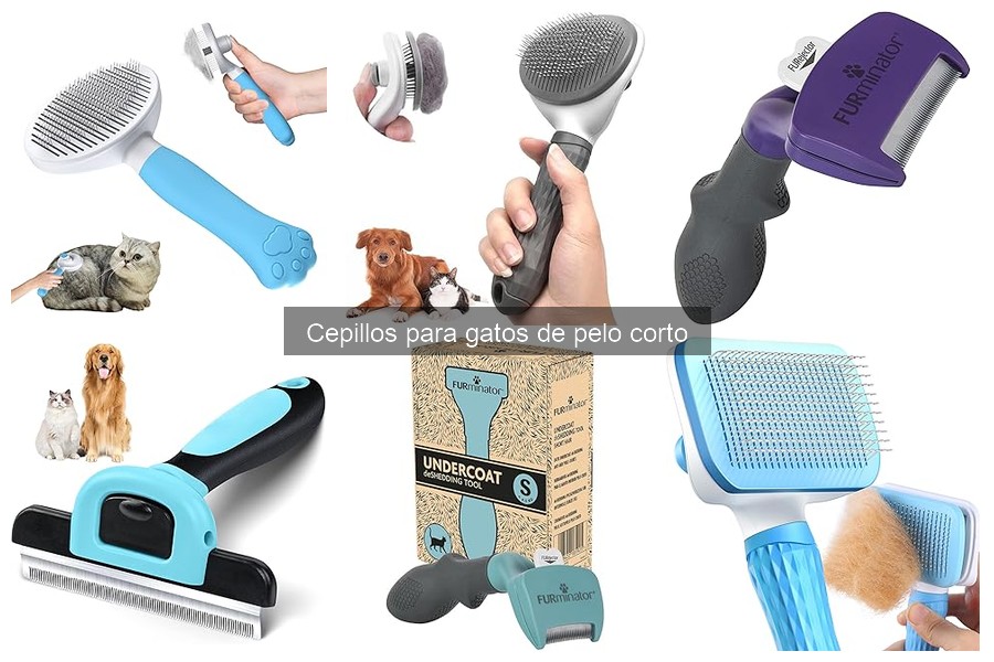 Cómo usar un cepillo para gatos de pelo corto: Guía práctica