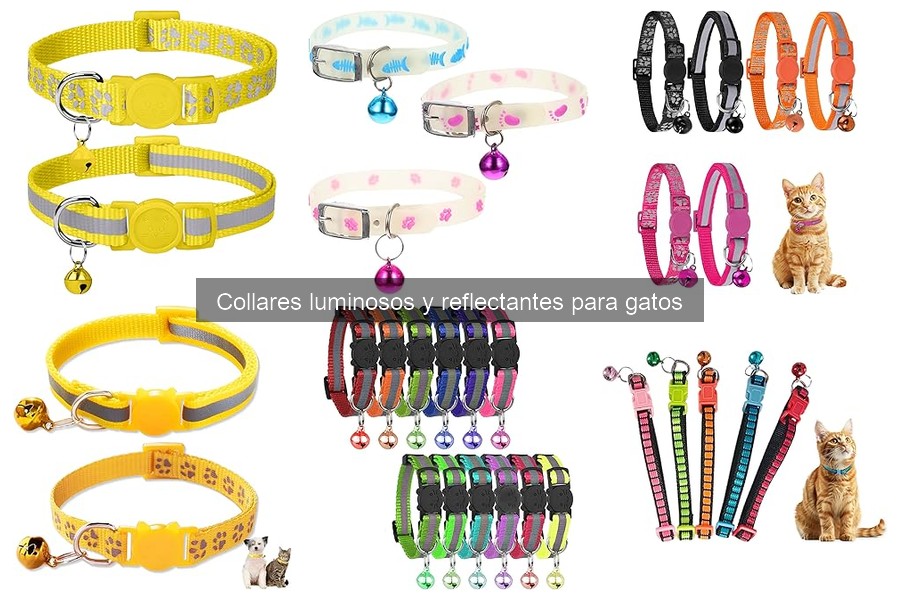 Cómo usar un collar luminoso en tu gato: Guía práctica