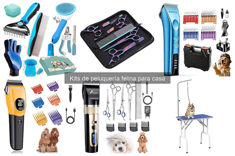 Cómo usar un kit de peluquería en gatos: guía paso a paso