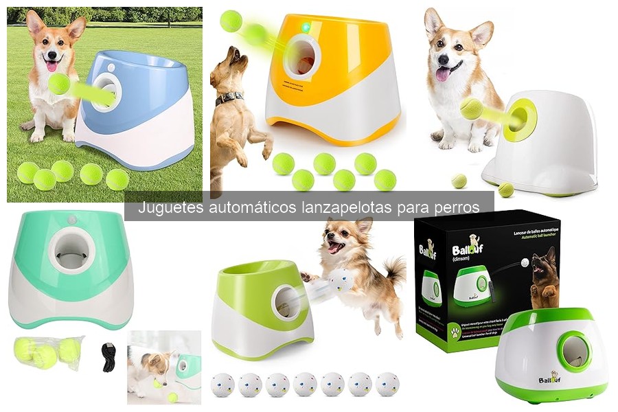 Cómo usar un lanzapelotas automático para perros