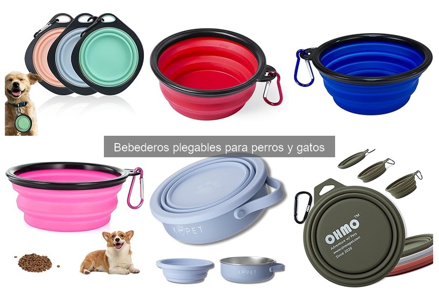 Cómo usar y limpiar un bebedero plegable para mascotas
