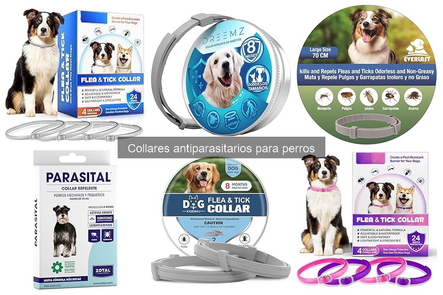 Cómo utilizar collares antiparasitarios para perros correctamente