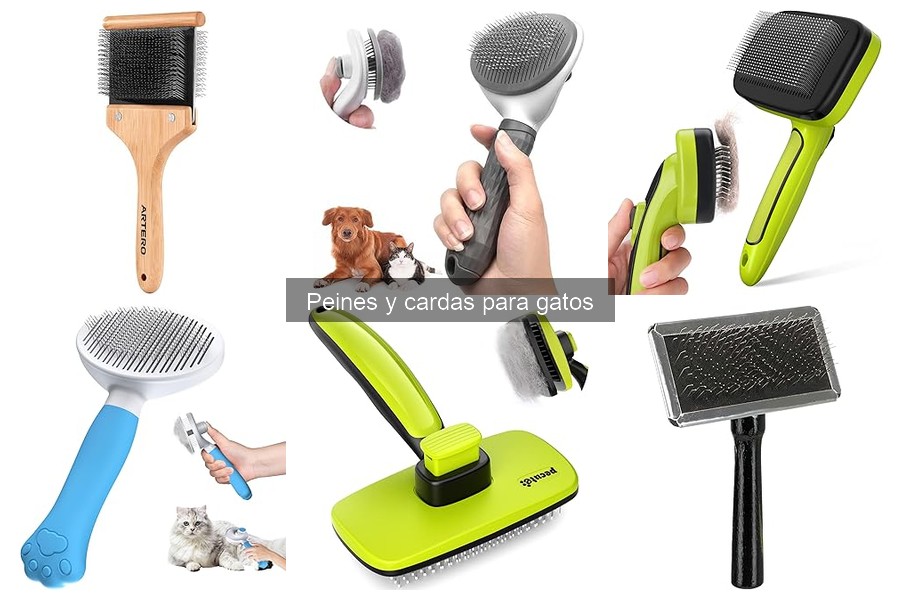 Cómo utilizar correctamente una carda para gatos