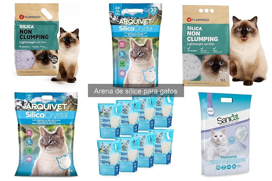 Cómo utilizar la arena de sílice para gatos correctamente