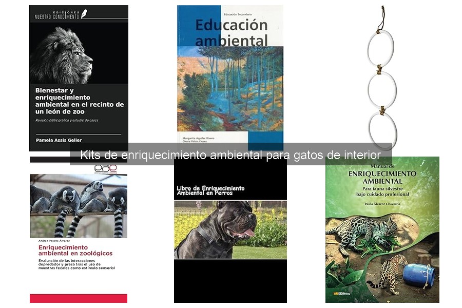 Cómo utilizar un kit de enriquecimiento ambiental para gatos