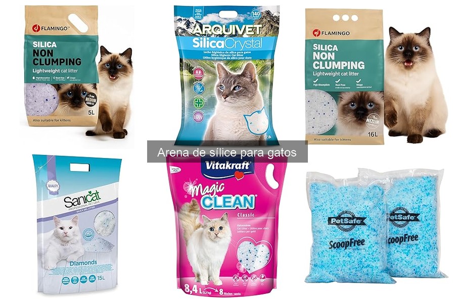 Comparativa: Arena de sílice vs. Arena de arcilla para gatos