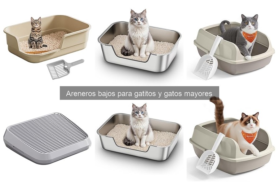 Comparativa: Areneros Bajos vs. Tradicionales para Gatos