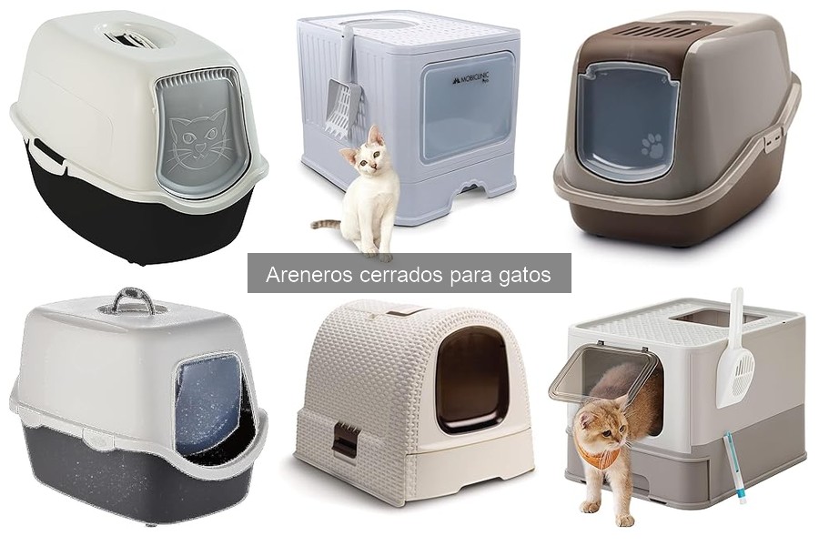 Comparativa: Areneros Cerrados vs Abiertos para Gatos