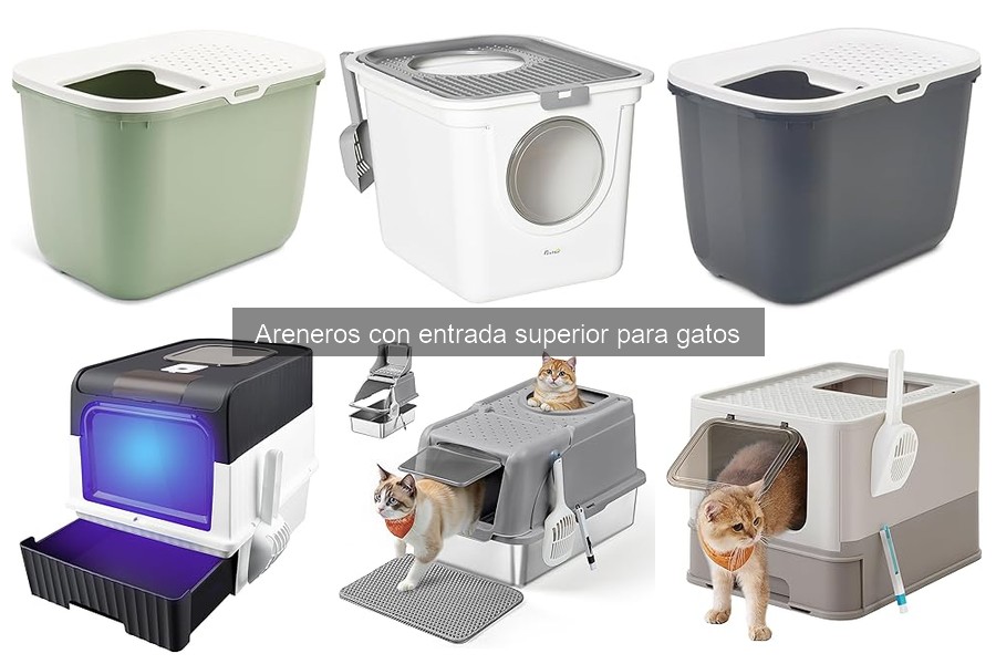 Comparativa: Areneros con Entrada Superior vs. Tradicionales