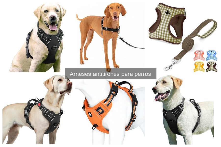 Comparativa: Arnés Antitirones vs Collar Antipulgas para Perros