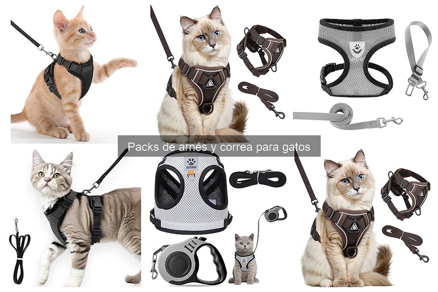Comparativa: Arnés tipo H vs. Arnés tipo Figura para Gatos